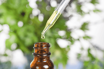Are Essential Oils Safe For Dogs?