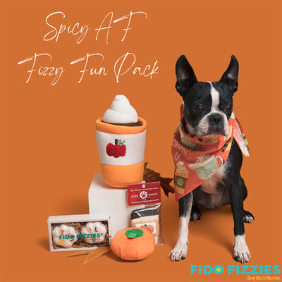 Pumpkin Spice Dog gift set